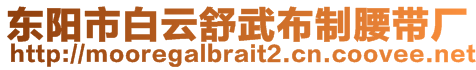 東陽市白云舒武布制腰帶廠