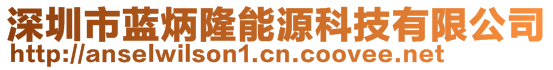 深圳市藍(lán)炳隆能源科技有限公司