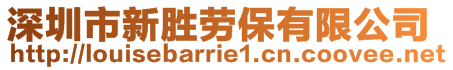 深圳市新勝勞保有限公司