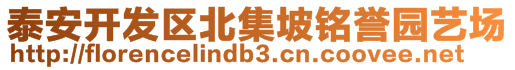 泰安開發(fā)區(qū)北集坡銘譽(yù)園藝場