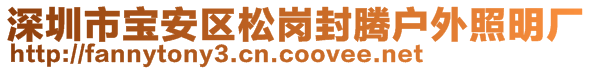 深圳市寶安區(qū)松崗封騰戶外照明廠