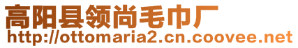 高陽(yáng)縣領(lǐng)尚毛巾廠