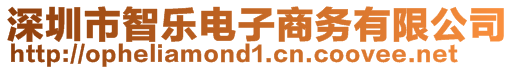 深圳市智樂電子商務(wù)有限公司