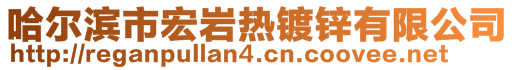哈爾濱市宏巖熱鍍鋅有限公司