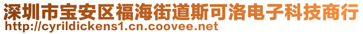 深圳市寶安區(qū)福海街道斯可洛電子科技商行