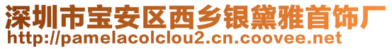 深圳市寶安區(qū)西鄉(xiāng)銀黛雅首飾廠