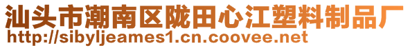 汕頭市潮南區(qū)隴田心江塑料制品廠