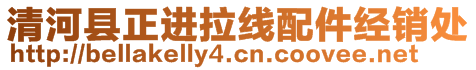 清河縣正進拉線配件經(jīng)銷處