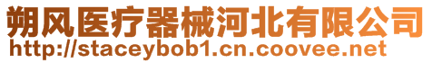 朔風(fēng)醫(yī)療器械河北有限公司