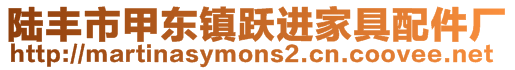 陸豐市甲東鎮(zhèn)躍進家具配件廠