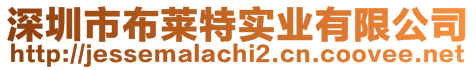 深圳市布萊特實(shí)業(yè)有限公司