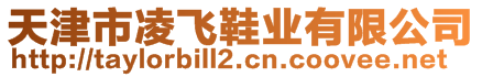 天津市凌飛鞋業(yè)有限公司