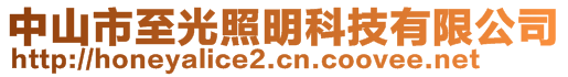 中山市至光照明科技有限公司