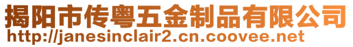 揭陽市傳粵五金制品有限公司