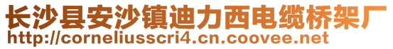 長(zhǎng)沙縣安沙鎮(zhèn)迪力西電纜橋架廠