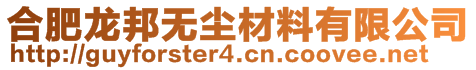 合肥龍邦無塵材料有限公司