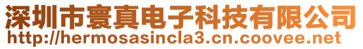 深圳市寰真電子科技有限公司