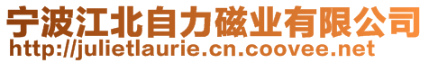 寧波江北自力磁業(yè)有限公司