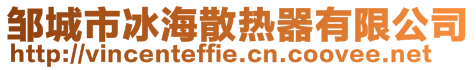 鄒城市冰海散熱器有限公司