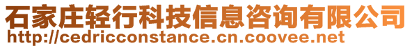 石家莊輕行科技信息咨詢有限公司