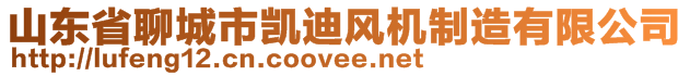 山東省聊城市凱迪風(fēng)機(jī)制造有限公司