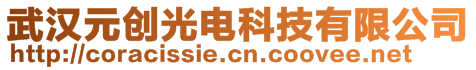 武漢元創(chuàng)光電科技有限公司