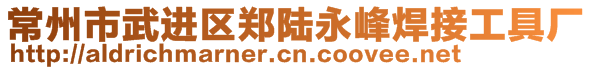 常州市武進區(qū)鄭陸永峰焊接工具廠