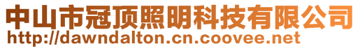 中山市冠顶照明科技有限公司