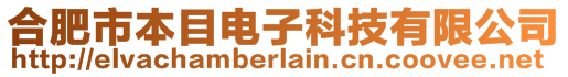 合肥市本目電子科技有限公司