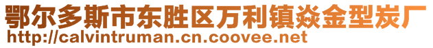 鄂爾多斯市東勝區(qū)萬(wàn)利鎮(zhèn)焱金型炭廠