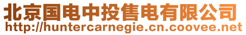 北京國(guó)電中投售電有限公司