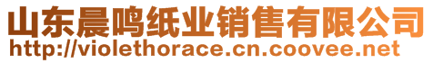 山东晨鸣纸业销售有限公司