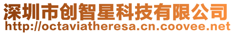深圳市創(chuàng)智星科技有限公司