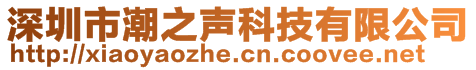 深圳市潮之聲科技有限公司
