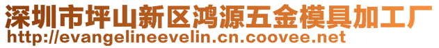 深圳市坪山新區(qū)鴻源五金模具加工廠