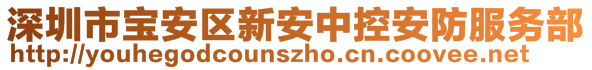 深圳市寶安區(qū)新安中控安防服務部