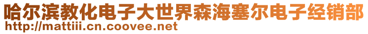 哈爾濱教化電子大世界森海塞爾電子經(jīng)銷部