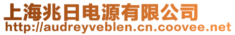 上海兆日電源有限公司