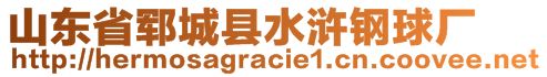 山東省鄆城縣水滸鋼球廠