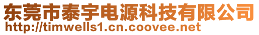 東莞市泰宇電源科技有限公司