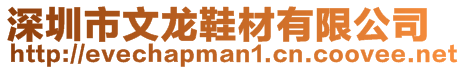 深圳市文龍鞋材有限公司