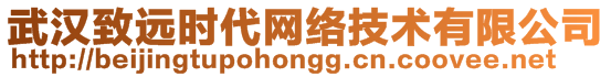 武漢致遠時代網(wǎng)絡(luò)技術(shù)有限公司