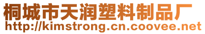 桐城市天潤塑料制品廠