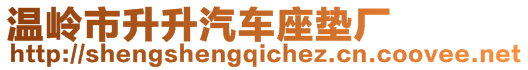 溫嶺市升升汽車座墊廠