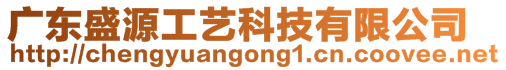 廣東盛源工藝科技有限公司