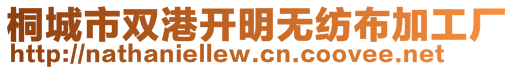 桐城市雙港開明無紡布加工廠