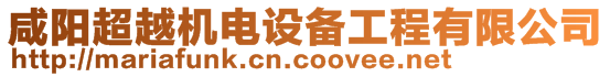 咸陽超越機電設備工程有限公司
