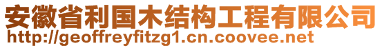 安徽省利國木結構工程有限公司