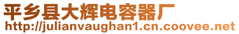 平鄉縣大輝電容器廠