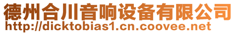 德州合川音響設(shè)備有限公司